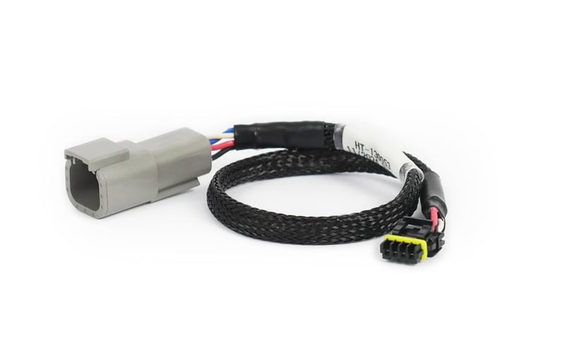 CAN Adaptor Loom DTM-4 to Molex Mizu-P25 - Suits Holley HT-130053