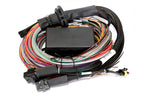 Elite 2500 + Premium Universal Wire-in Harness Kit Length: 5.0m (16') HT-151305