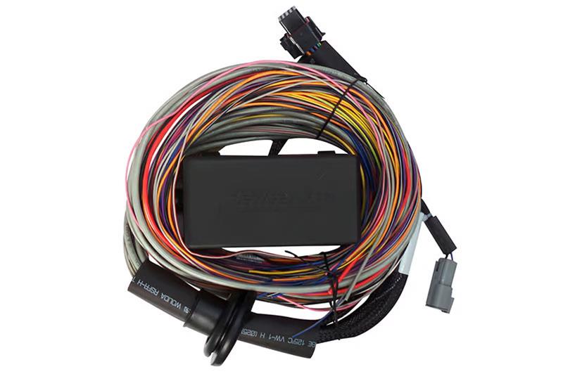 HalTech Elite 750 ECU Premium Universal Wire-in Harnesses HT-140604