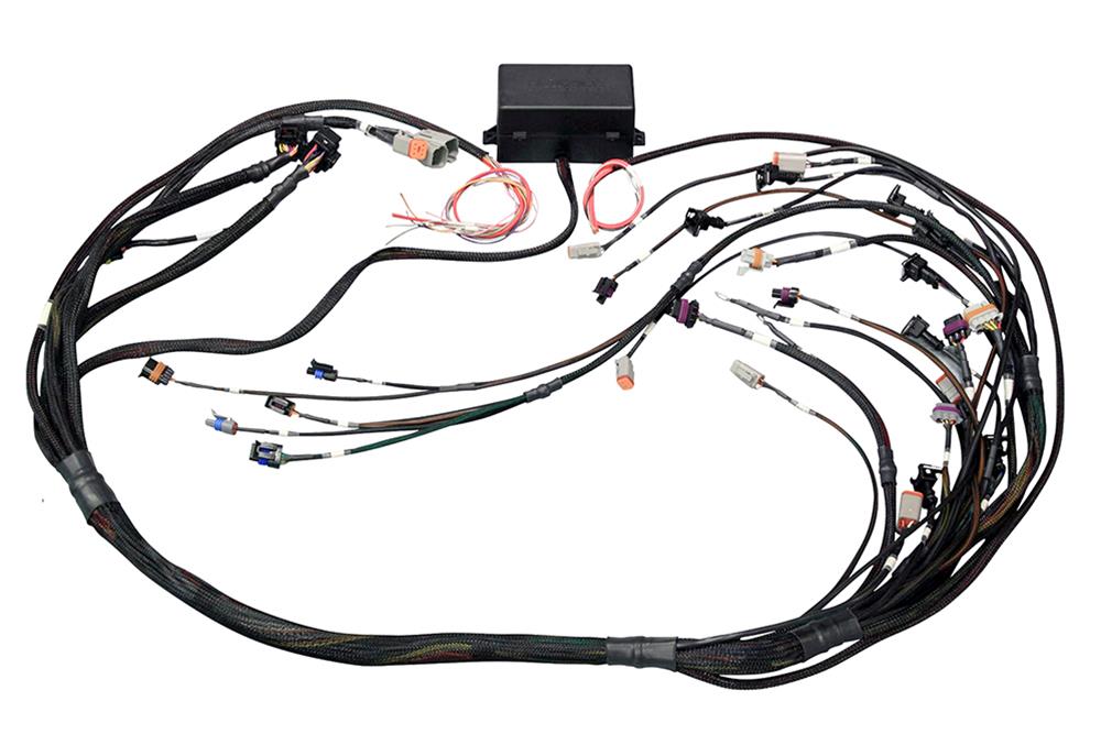 HalTech Elite 2000/2500 GM Gen IV LS/LSX DBW Ready Terminated Harness HT-141366