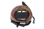 HalTech Elite 550 ECU with Premium Universal Wire-In Harness HT-150404
