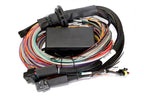 HalTech Elite 2500 ECU with Premium Universal Wire-In Harness HT-151304
