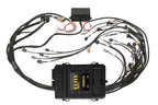 HalTech Elite 2500 ECU with Plug'n'Play Harness HT-151360
