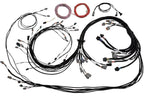 HalTech Nexus R5 VCU Universal V8 Terminated Engine Harnesses HT-186200  Part Number: HTH-HT-186200