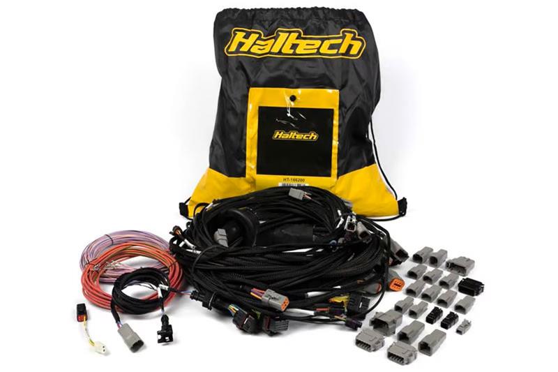 HalTech Nexus R5 VCU Universal V8 Terminated Engine Harnesses HT-186200  Part Number: HTH-HT-186200