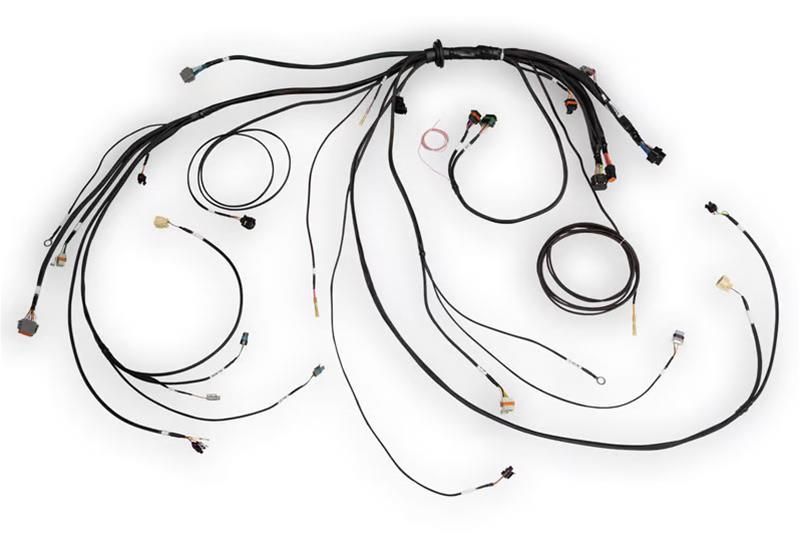 Nexus Rebel LS Terminated Harness for Nexus Rebel LS ECU HT-186500