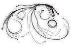 Nexus Rebel LS Terminated Harness for Nexus Rebel LS ECU HT-186500