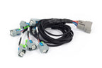 Nexus Rebel LS - LS EV6 Injector Sub-Harness HT-186502