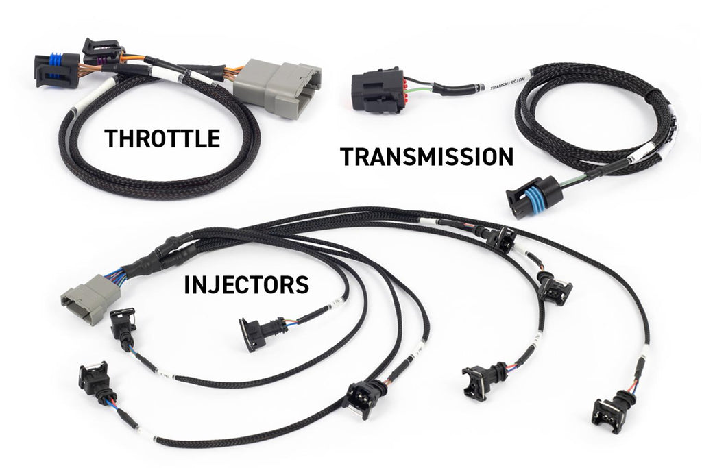 HalTech Rebel LS Gen 3 and 4 ECU Kits HT-220201