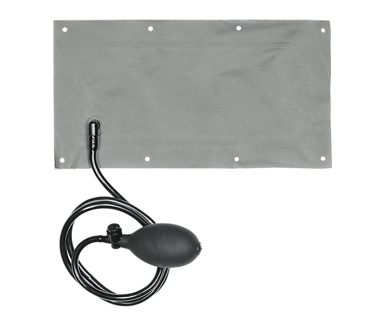 Driver Lumbar Support