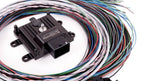 MaxxECU MINI